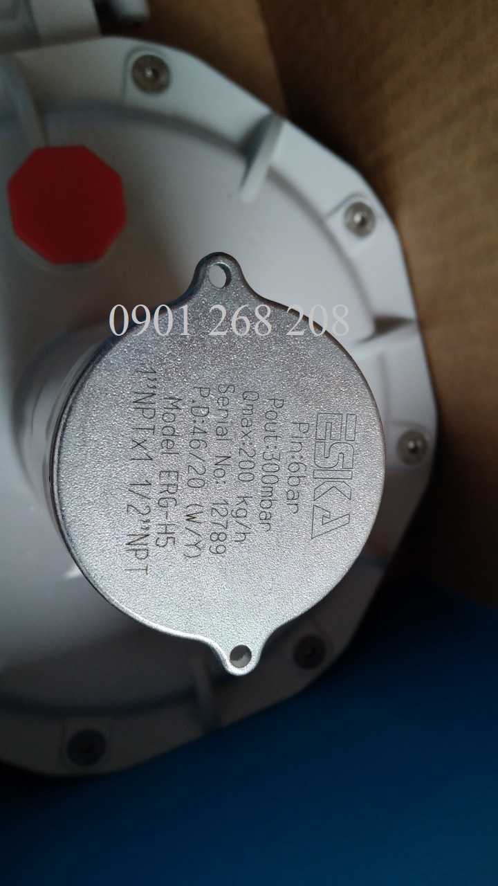 van dieu ap ERG-H5 ESKA cong suat 200kg/h ap suat 300mbar